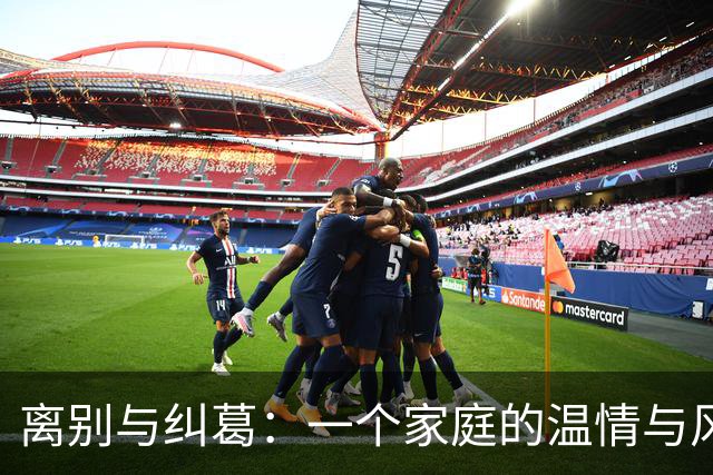 离别与纠葛：一个家庭的温情与风波